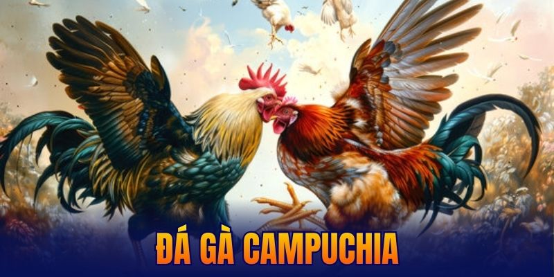 đá gà campuchia